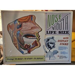 Vintage 1968 Pyro Nose Mouth Anatomy Life Size Model Kit Unassembled New In Box‎